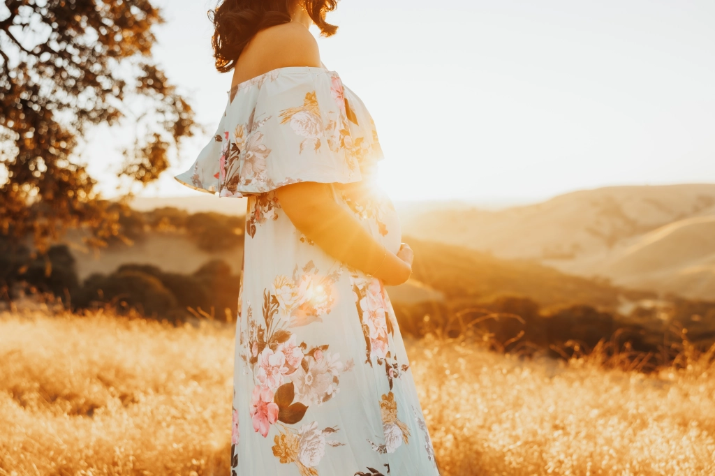 Cropped images of pregnant woman's belly, profile with the setting sun and golden grass